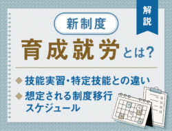 新制度「育成就労」とは？技能実習・特定技能との違いや想定される制度移行スケジュールを解説