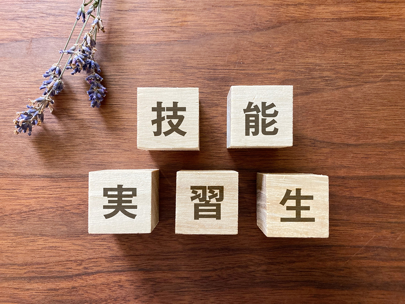 従来の技能実習制度概要